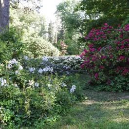 Kámoni Arborétum & Ökoturisztikai Központ, Szombathely - Külső kép