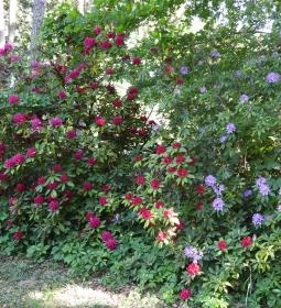 Kámoni Arborétum & Ökoturisztikai Központ