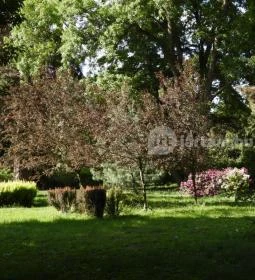 Kámoni Arborétum & Ökoturisztikai Központ