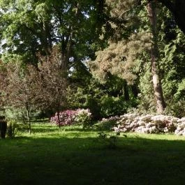 Kámoni Arborétum & Ökoturisztikai Központ, Szombathely - Egyéb
