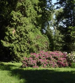 Kámoni Arborétum & Ökoturisztikai Központ