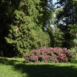 Kámoni Arborétum & Ökoturisztikai Központ, Szombathely - Külső kép