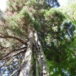 Kámoni Arborétum & Ökoturisztikai Központ, Szombathely - Külső kép