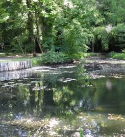 Kámoni Arborétum & Ökoturisztikai Központ