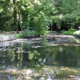 Kámoni Arborétum & Ökoturisztikai Központ, Szombathely - Külső kép