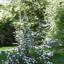 Kámoni Arborétum & Ökoturisztikai Központ, Szombathely - Külső kép