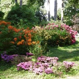 Kámoni Arborétum & Ökoturisztikai Központ, Szombathely - Külső kép