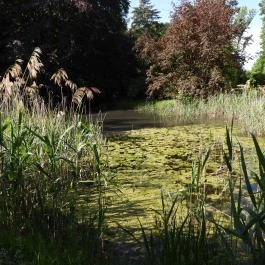 Kámoni Arborétum & Ökoturisztikai Központ, Szombathely - Külső kép