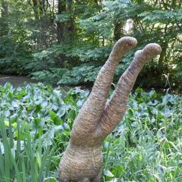 Kámoni Arborétum & Ökoturisztikai Központ, Szombathely - Egyéb