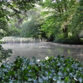 Kámoni Arborétum & Ökoturisztikai Központ, Szombathely - Külső kép