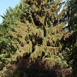 Kámoni Arborétum & Ökoturisztikai Központ, Szombathely - Külső kép