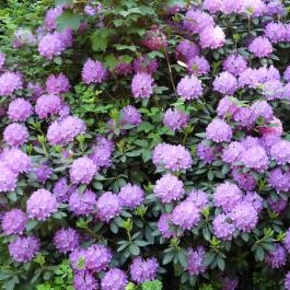 Kámoni Arborétum & Ökoturisztikai Központ, Szombathely - Egyéb