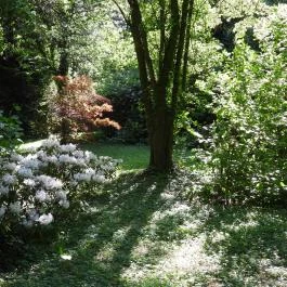 Kámoni Arborétum & Ökoturisztikai Központ, Szombathely - Külső kép