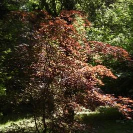 Kámoni Arborétum & Ökoturisztikai Központ, Szombathely - Külső kép
