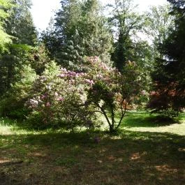 Kámoni Arborétum & Ökoturisztikai Központ, Szombathely - Külső kép