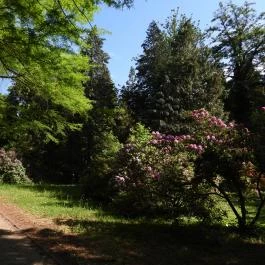 Kámoni Arborétum & Ökoturisztikai Központ, Szombathely - Külső kép