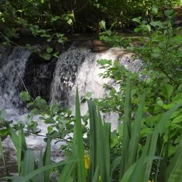 Kámoni Arborétum & Ökoturisztikai Központ, Szombathely - Külső kép