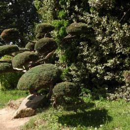 Kámoni Arborétum & Ökoturisztikai Központ, Szombathely - Külső kép