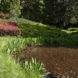 Kámoni Arborétum & Ökoturisztikai Központ, Szombathely - Külső kép