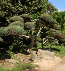 Kámoni Arborétum & Ökoturisztikai Központ