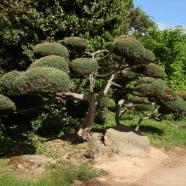 Kámoni Arborétum & Ökoturisztikai Központ Szombathely - Külső kép