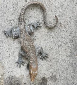 Kányádi Sándor emlékkő & Elek apó kútja