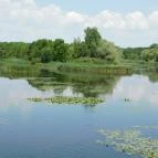 Kányavári-sziget Balatonmagyaród - 