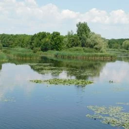 Kányavári-sziget Balatonmagyaród - Egyéb