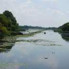 Kányavári-sziget Balatonmagyaród - 