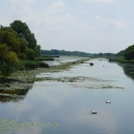 Kányavári-sziget Balatonmagyaród - Egyéb