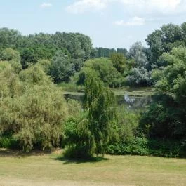 Kányavári-sziget Balatonmagyaród - Egyéb