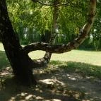 Kányavári-sziget Balatonmagyaród - 