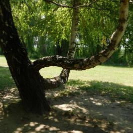 Kányavári-sziget Balatonmagyaród - Egyéb