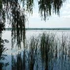 Kányavári-sziget Balatonmagyaród - 