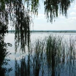Kányavári-sziget Balatonmagyaród - Egyéb