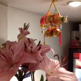 Kao Hom Thai Soup & Wok Budapest - Egyéb