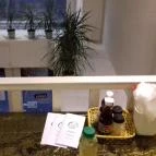 Kao Hom Thai Soup & Wok Budapest - Belső