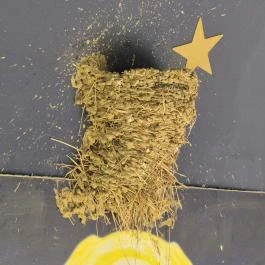 Kápolna, Ózd - Egyéb