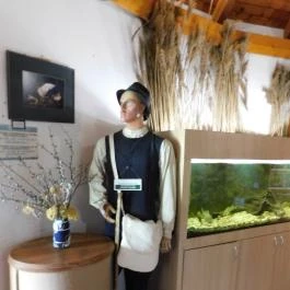 Kápolnapusztai Bivalyrezervátum Kápolnapuszta - Egyéb