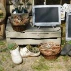 Káptalantóti Liliomkert Káptalantóti - 