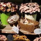 Káptalantóti Liliomkert Káptalantóti - 