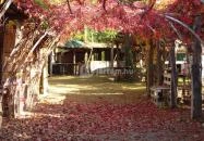 Káptalantóti Liliomkert Káptalantóti