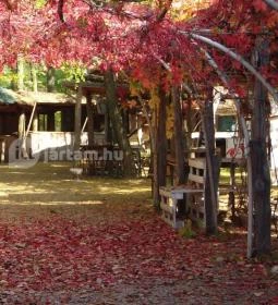 Káptalantóti Liliomkert