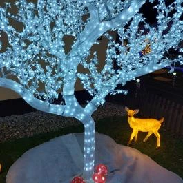 Karácsonyi Meseház Csákánydoroszló - Egyéb