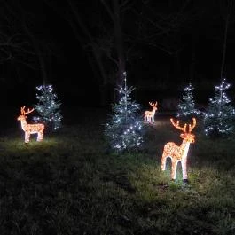 Karácsonyi Meseház Csákánydoroszló - Egyéb
