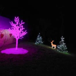 Karácsonyi Meseház Csákánydoroszló - Egyéb