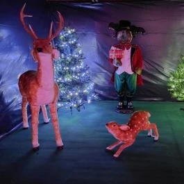 Karácsonyi Meseház Csákánydoroszló - Belső