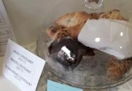 Karolina Bisztro Budapest