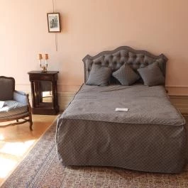 Károlyi-Kastély, Fehérvárcsurgó - Belső