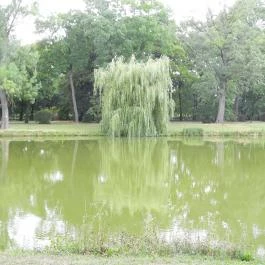 Károlyi-Kastély, Fehérvárcsurgó - Külső kép